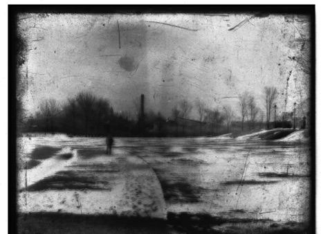 Print from glass plate negative. Chicago, Washington Park and Conservatory